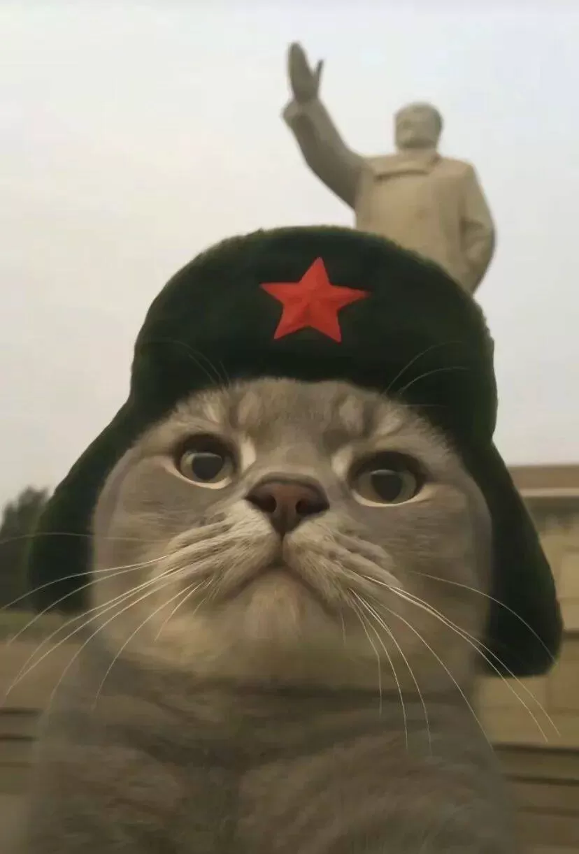 ˵ʵ籬èͷ˶繣